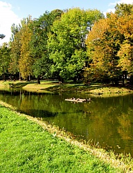 Ogród - 2156749