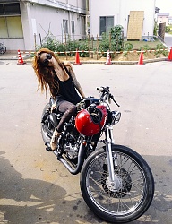 Misz-masz - 2042044