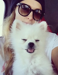 Moda Dodatki Okulary - 2861726