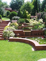 Ogród - 2548909
