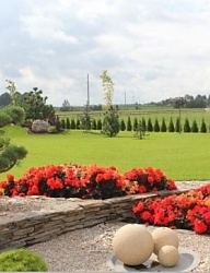 Ogród - 2162325