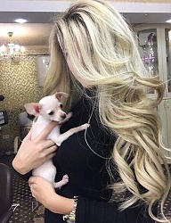 Fryzury Długie Na co dzień Kręcone Rozpuszczone Blond - 3226392