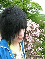 Fryzury Średnie Alternatywne EMO - 8624