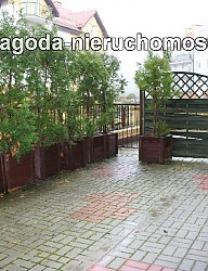 Ogród - 1701579