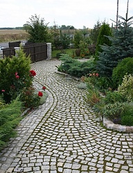 Ogród - 2815836