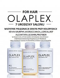 Fryzury Długie Na co dzień Kręcone Rozpuszczone Blond - 3270867
