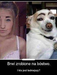 Humor - 2612708