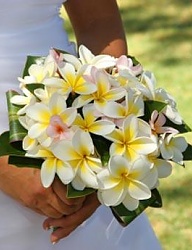 Moda Ślub Bukiety ślubne - 372265
