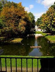 Ogród - 2156748