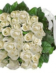 Moda Inne Gadżety - 3115834