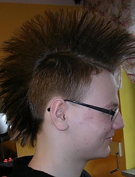 Fryzury Średnie Alternatywne Punk Rock - 16126