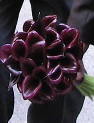 Moda Ślub Bukiety ślubne - 1306652