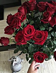 Misz-masz - 3261423