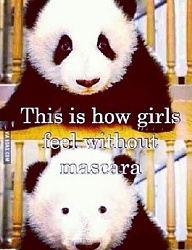 Humor - 2484696