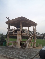 Ogród - 2136926