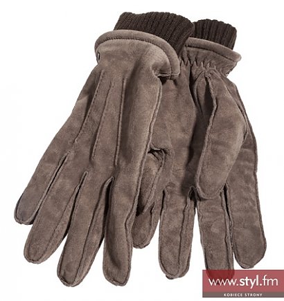 Camel Active