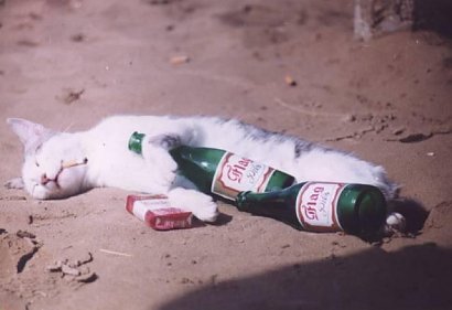 Umieszczanie zdjęć, na których widać, że znacznie przeholowałeś z alkoholem, zostaw dla najbliższych.