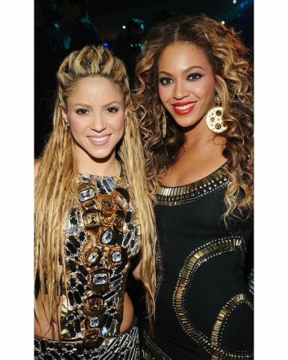 Shakira pochwaliła się nowym projektem.