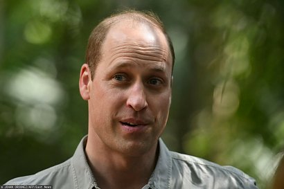 William jest najszybciej łysiejącym mężczyzną na brytyjskim dworze.