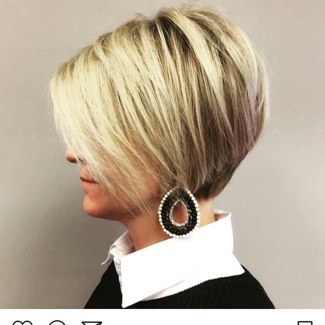 Pixie Bob